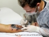 workshop-tattoo-james-sullivan-avenged-sevenfold-realismo-reatrato-preto_tlt-14