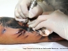 workshop-tattoo-james-sullivan-avenged-sevenfold-realismo-reatrato-preto_tlt-18