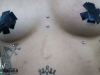 DSC00560