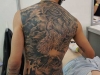 DSC00562
