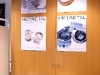 MAY inc 3